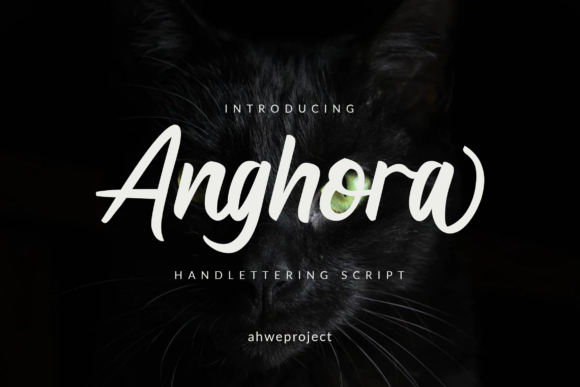 Anghora Font: A Display Typeface with a Personal Touch