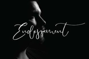 Endossement: A Handwritten Typeface for Modern Web Design
