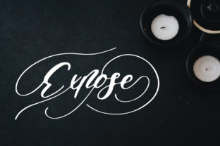 Expose Font: A Playful Script for Creative Branding Projects