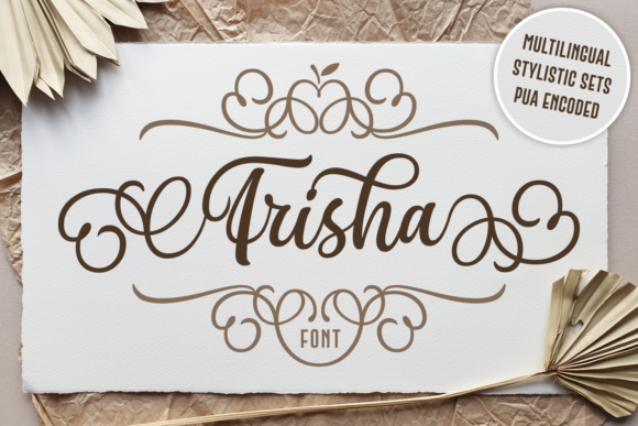Frisha Font: A Script Typeface for Modern Web Design