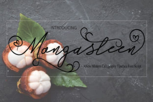 Mongasteen: A Playful Script Font for Editorial Design