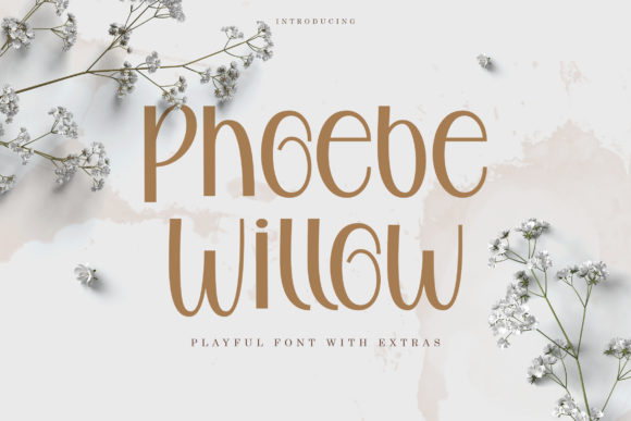 Phoebe Willow Font: A Sweet Script for Real-World Branding Projects