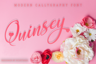 Quinsey: The Typeface That Elevates Your Campaign